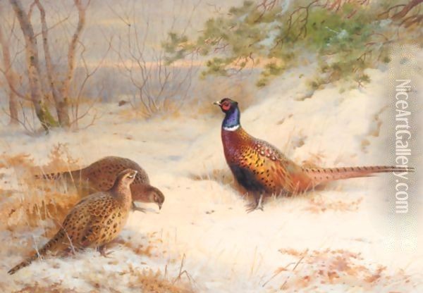 A Winter Dawn, Pheasants In The Snow Oil Painting - Archibald Thorburn