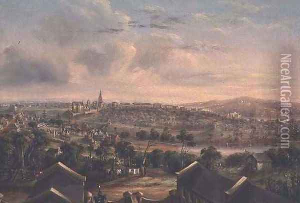 Sydney from Woolloomooloo, 1849 Oil Painting - George Edward Peacock