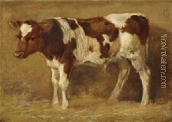 A Standing Calf Oil Painting - Johan Thomas Lundbye