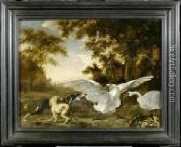Two Swans Threatened By A Hunting Dog Oil Painting - Abraham Hondius