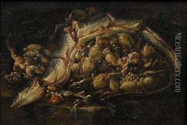 An Eel And Cuttlefish On A Stone Ledge Oil Painting - Giuseppe Recco