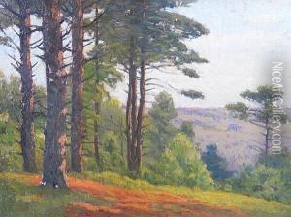 A Stand Of Pines On A Hill Oil Painting - Charles Warren Eaton
