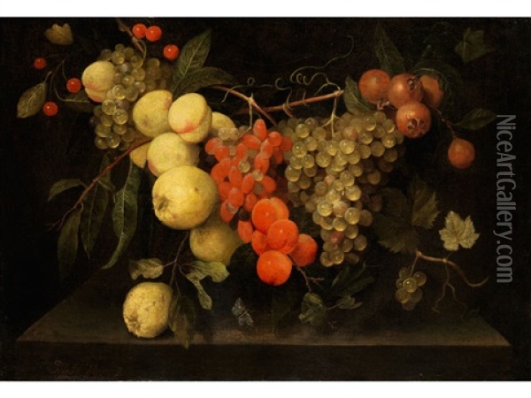 Fruchtestilleben Mit Quitten, Aprikosen, Trauben Sowie Exotischen Fruchten Und Hellen Kirschen Oil Painting - Frans Van Everbroeck