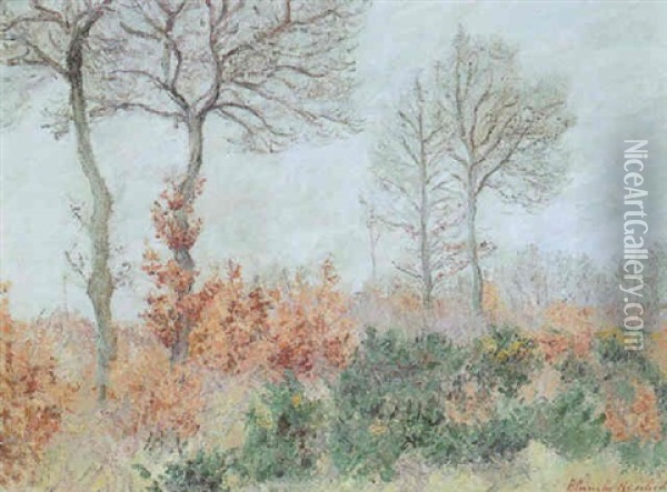 Bois Taillus En Automne Oil Painting - Blanche Hoschede-Monet