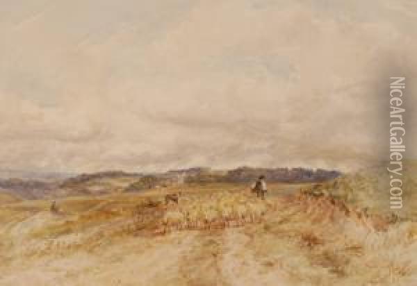 Shepherd And Sheep Nearbrighton Oil Painting - James Price