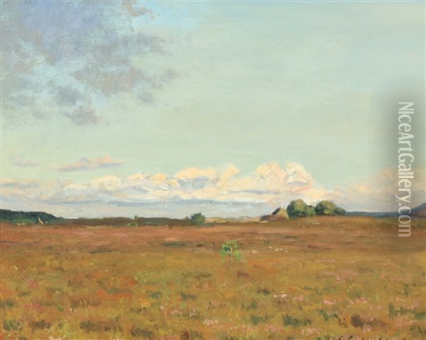 Eftermiddagsstemning Fra Sveibaek, Jylland 1904 Oil Painting - Georg Elias Schjelderup