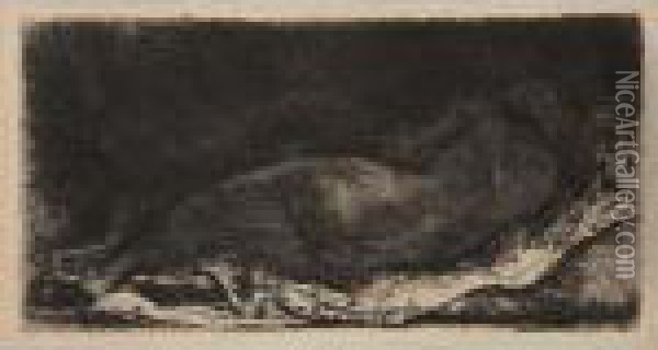 Negress Lying Down (b. 205) Oil Painting - Rembrandt Van Rijn