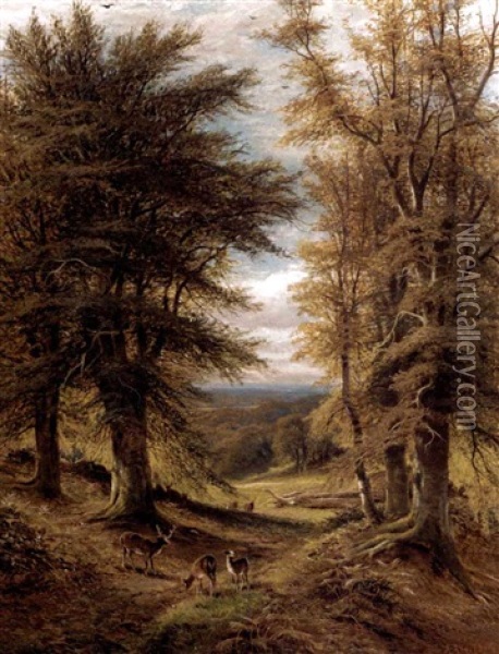 Deer In A Woodland Clearing Oil Painting - Alfred Augustus Glendening Sr.