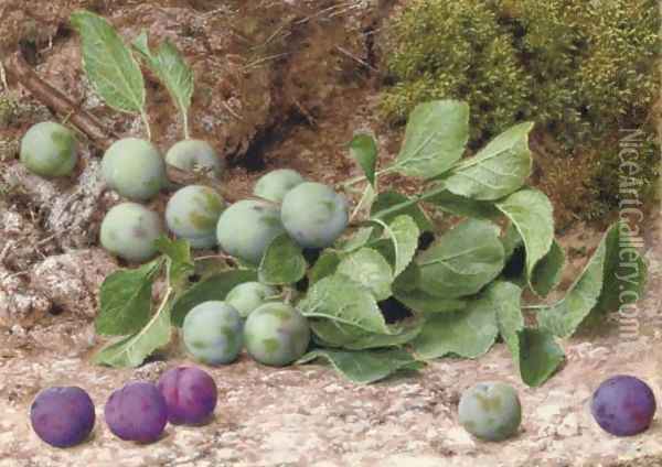A bough of plums on a mossy bank Oil Painting - John Sherrin