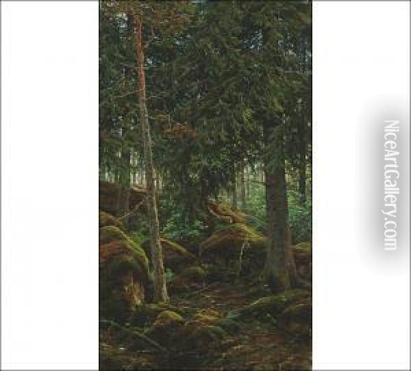 Forest Interior Oil Painting - Berndt Adolf Lindholm