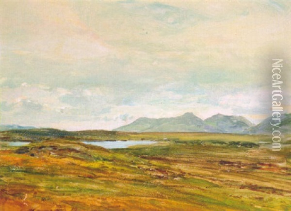 An Extensive Landscape (conemarra, Ireland?) Oil Painting - Heywood Hardy