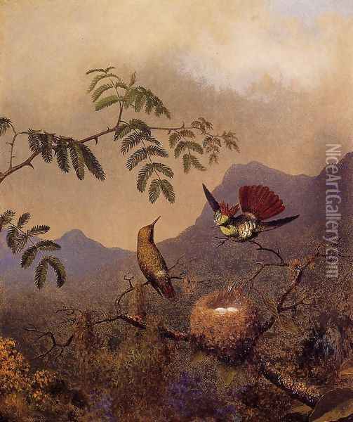 Frilled Coquette Oil Painting - Martin Johnson Heade