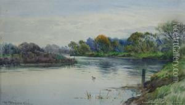 Styx River, South Island Oil Painting - William Menzies Gibb
