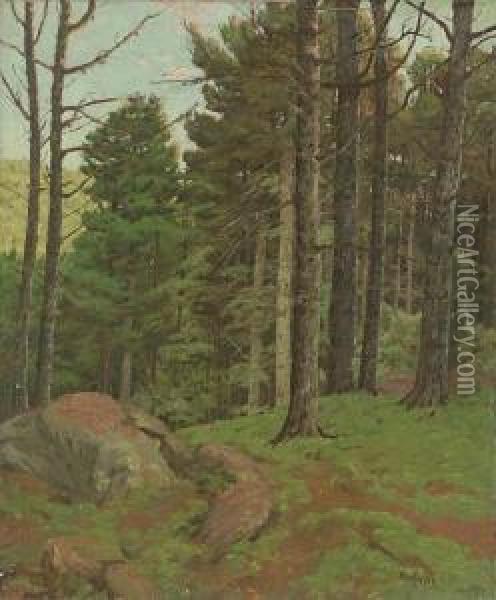 Afternoon Amidst The Pines Oil Painting - Ben Foster