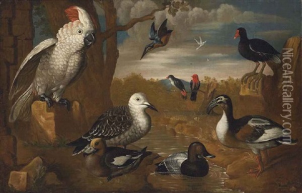 A Cockatoo, Kingfisher And Other Exotic Birds In A Wooded, River Landscape Oil Painting - Charles Collins