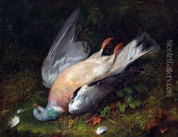 Dead Pigeon Oil Painting - Robert Hudson Sr.