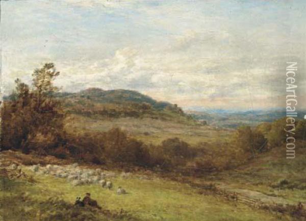 On The Surrey Hills Oil Painting - Alfred Walter Williams