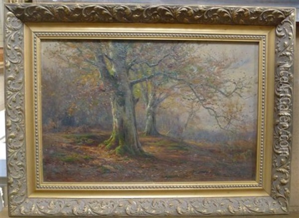 New Forest Oil Painting - Frederick Golden Short