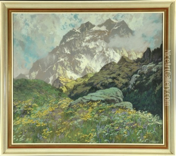 Berggipfel Mit Bluhender Bergwiese Oil Painting - Hugo Hodiener (Hodina)