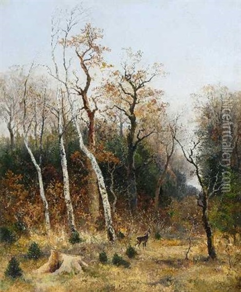 Rehbock Auf Einer Waldlichtung Oil Painting - Eugen Birzer
