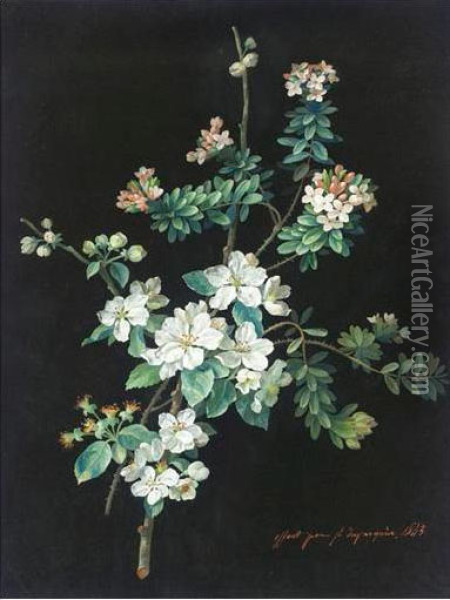 Etude De Fleurs Oil Painting - Louis Du Pasquier