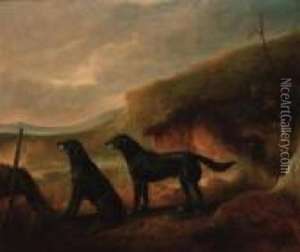 Gun Dogs In A Landscape Oil Painting - John Snr Ferneley