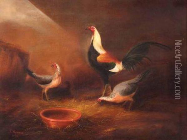 Bantams In A Barn Oil Painting - Thomas Benson