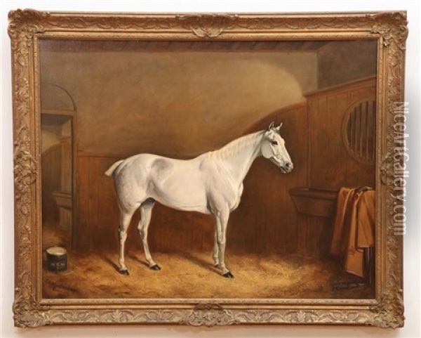White Stallion Oil Painting - John Arnold Alfred Wheeler