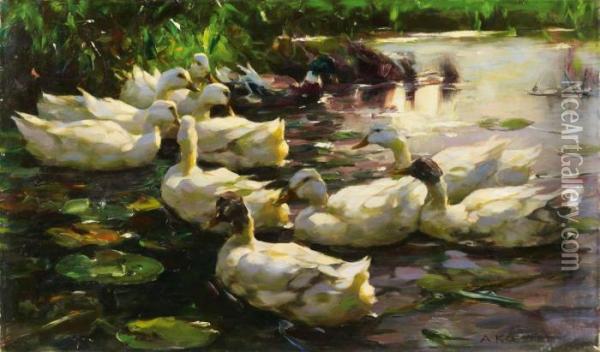 Enten Im Wasser(fohnstimmung) Oil Painting - Alexander Max Koester