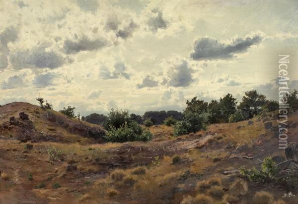 Heidelandschaft Oil Painting - Joseph Rummelspacher