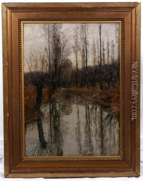 Trees On The Riverbank Oil Painting - Wilhelm Nagel