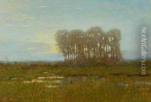 Moonlight On The Marshes Oil Painting - Robertson K. Mygatt
