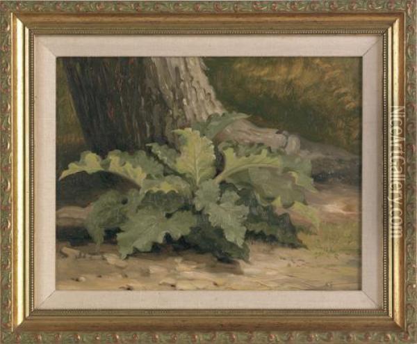 Landscape With A Large Fern Oil Painting - Xanthus Russell Smith