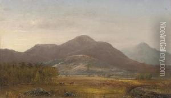 Finney Peak, The Catskill Mountains Oil Painting - Norton Bush