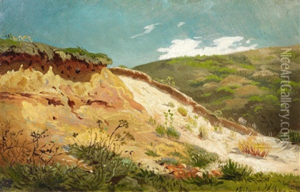 In Den Dunen Oil Painting - Johan Thomas Lundbye