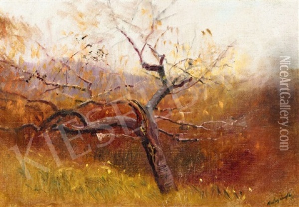 View From The Hill (autumn Landscape) Oil Painting - Laszlo Mednyanszky