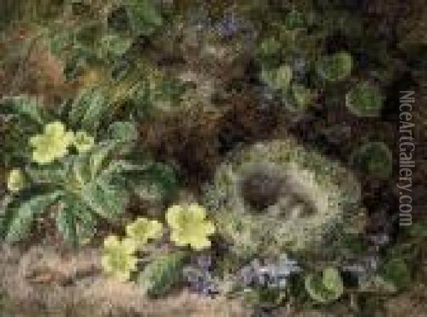Primroses, Forget-me-nots And A Bird's Nest On A Mossy Bank Oil Painting - George Clare
