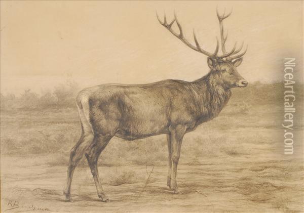 Red Deer Stag Oil Painting - Rosa Bonheur