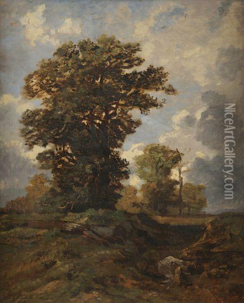 Les Chenes, Foret De Fontainebleau Oil Painting - Auguste-Paul-Charles Anastasi