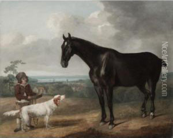 Portrait Of A Dark Bay Horse, With A Spaniel And A Young Boy Oil Painting - Sawrey Gilpin