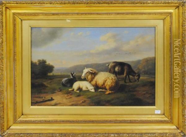 Moutons Oil Painting - Henri Baert
