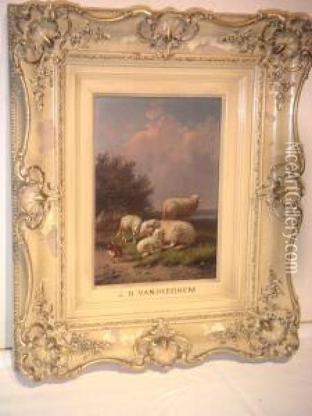 Moutons Au Pre Oil Painting - Joseph Van Dieghem