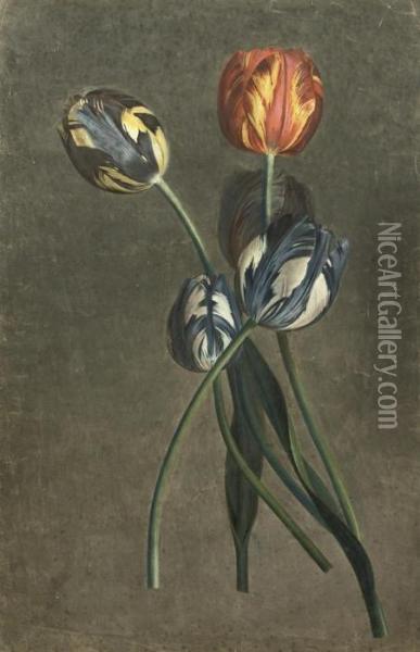 Parrot Tulips Oil Painting - Pierre-Joseph Redoute