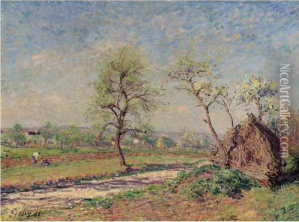Route A Veneux Oil Painting - Alfred Sisley