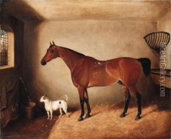 A Bay Horse And Dog In A Stable Oil Painting - Edwin M. Fox