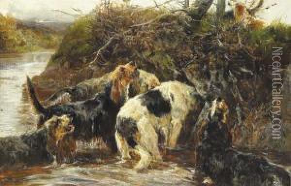 Otter Hounds Oil Painting - John Sargent Noble