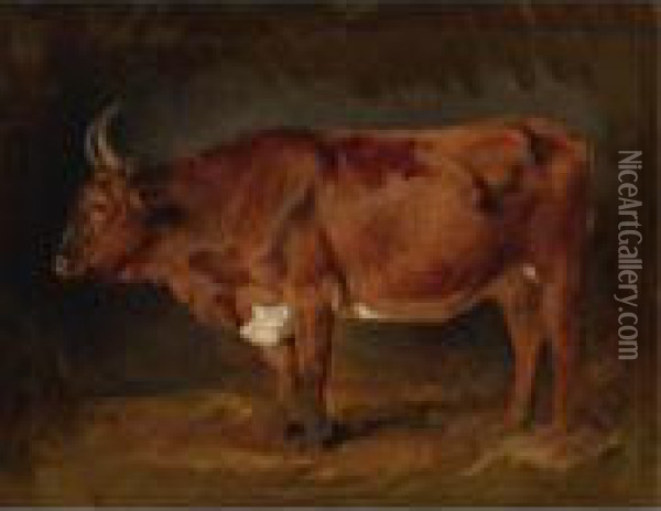 A Brown Cow In Profile Oil Painting - Rosa Bonheur