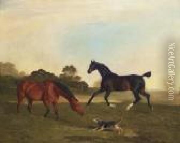 A Light Bay And A Brown Hunter In A Paddock Oil Painting - Benjamin Marshall