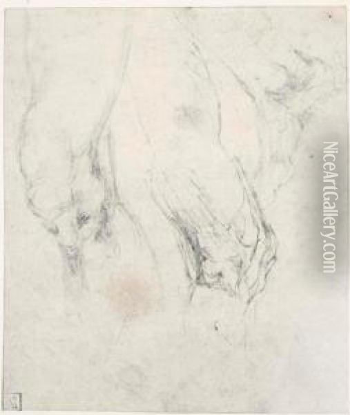 Study Of A Left Thigh And Knee, 
With A Separate Study Of A Right Knee Seen In Profile, And A Right Foot Oil Painting - Michelangelo