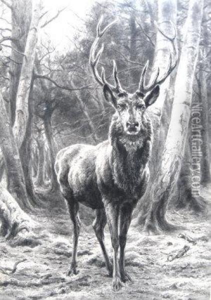 Stag In A Forest Oil Painting - Achille Isidore Gilbert